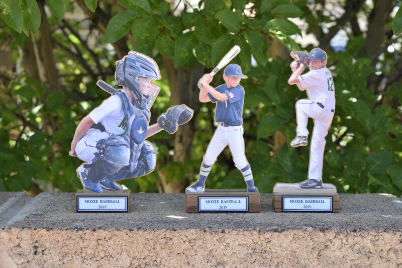 Baseball Trophy. Personalized Sport Trophy. Personalized Photo Statue. Custom Sports Plaque. Personalized Picture Display. Sports Award